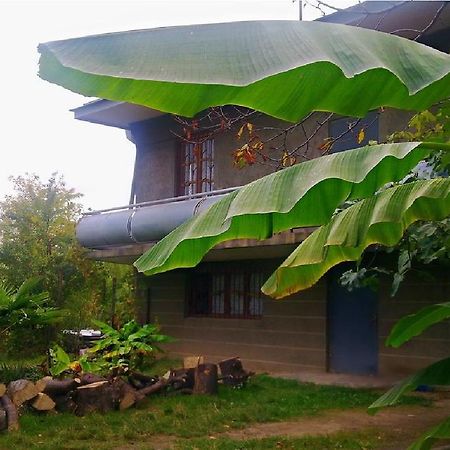 Farmer'S Guest House Telavi Ngoại thất bức ảnh