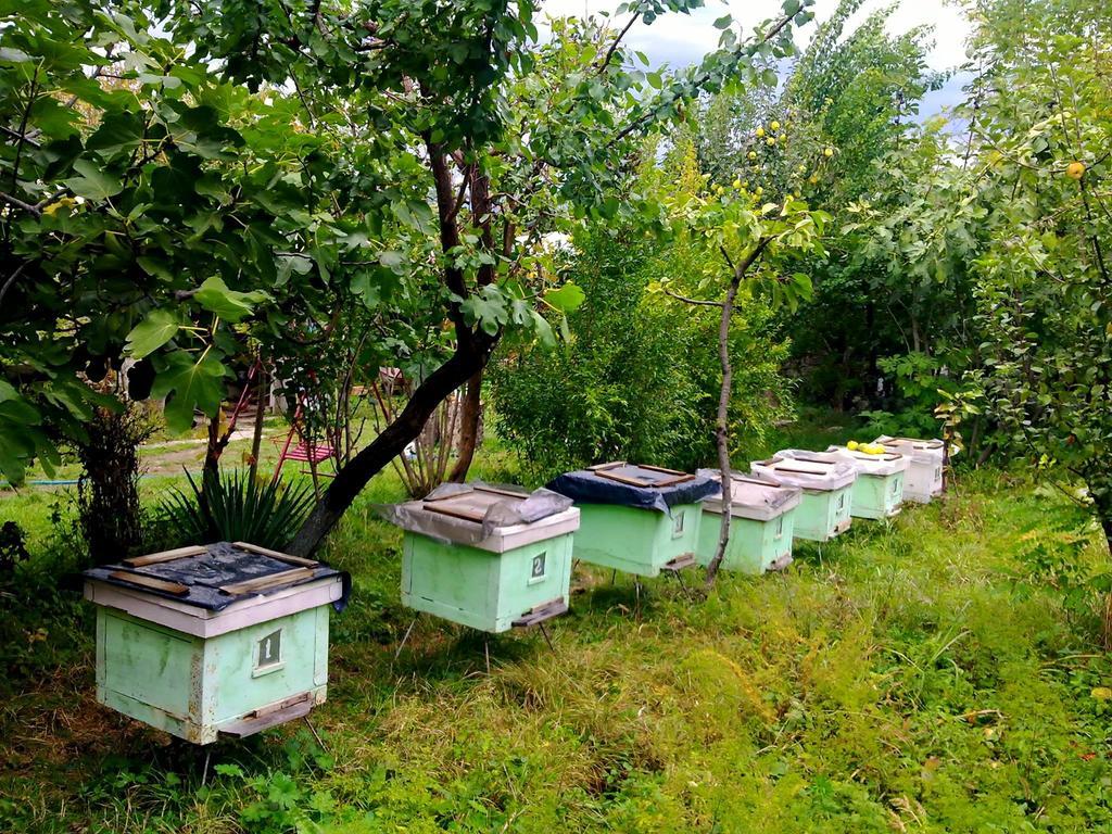 Farmer'S Guest House Telavi Ngoại thất bức ảnh