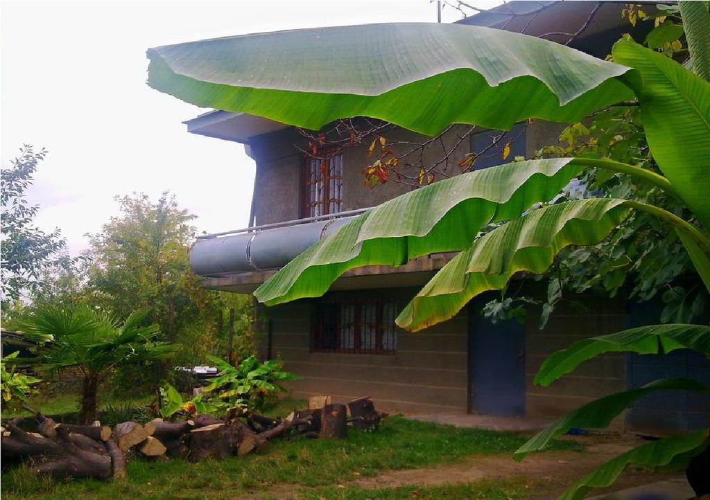 Farmer'S Guest House Telavi Ngoại thất bức ảnh